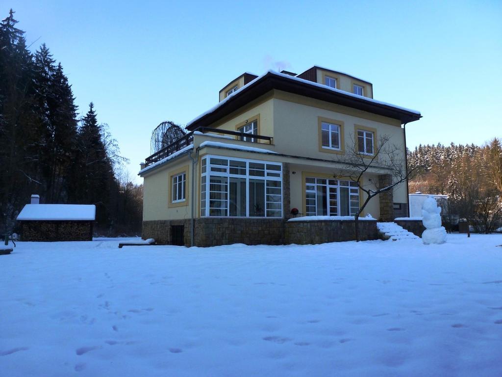 Penzion Tovarnikova Vila Hotel Skuhrov nad Belou Exterior foto