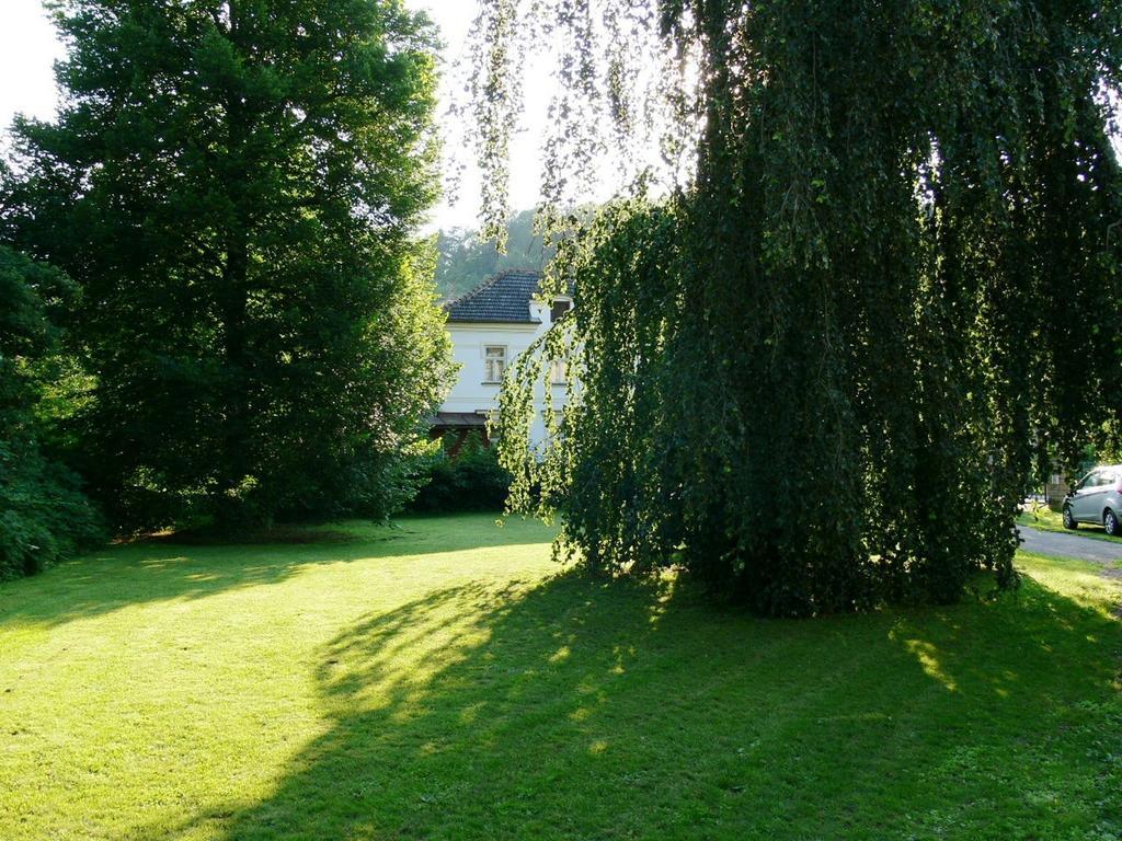 Penzion Tovarnikova Vila Hotel Skuhrov nad Belou Exterior foto